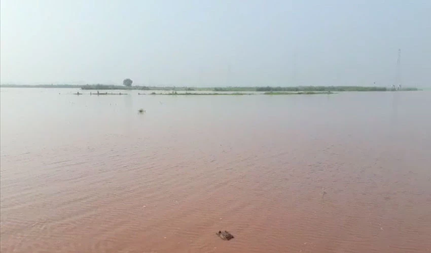 بھارت نے دریائے راوی میں سیلابی ریلا چھوڑ دیاگیا