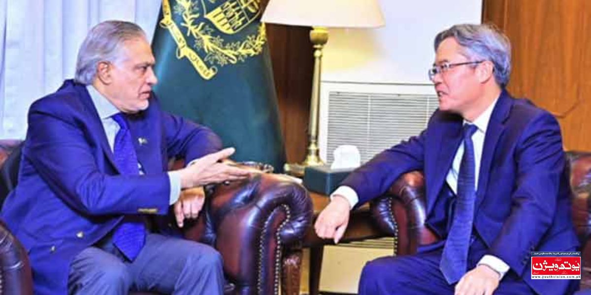 اسحاق ڈار اور چینی سفیر جیانگ زائیڈونگ ملاقات کے دوران گفتگو کرتے ہوئے