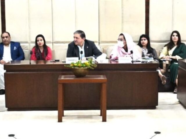 پیٹرولیم مصنوعات مزید مہنگی ہونے کا خدشہ، سینیٹ کمیٹی میں اہم بریفنگ