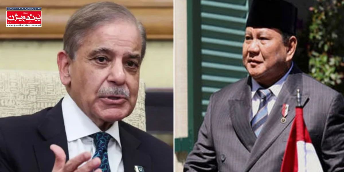 وزیراعظم شہباز شریف اور انڈونیشیا کے صدر کے درمیان ٹیلیفونک گفتگو، خطے کی کشیدگی پر تبادلہ خیال۔